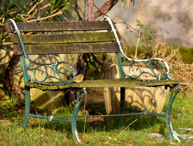 Un riposino meritato